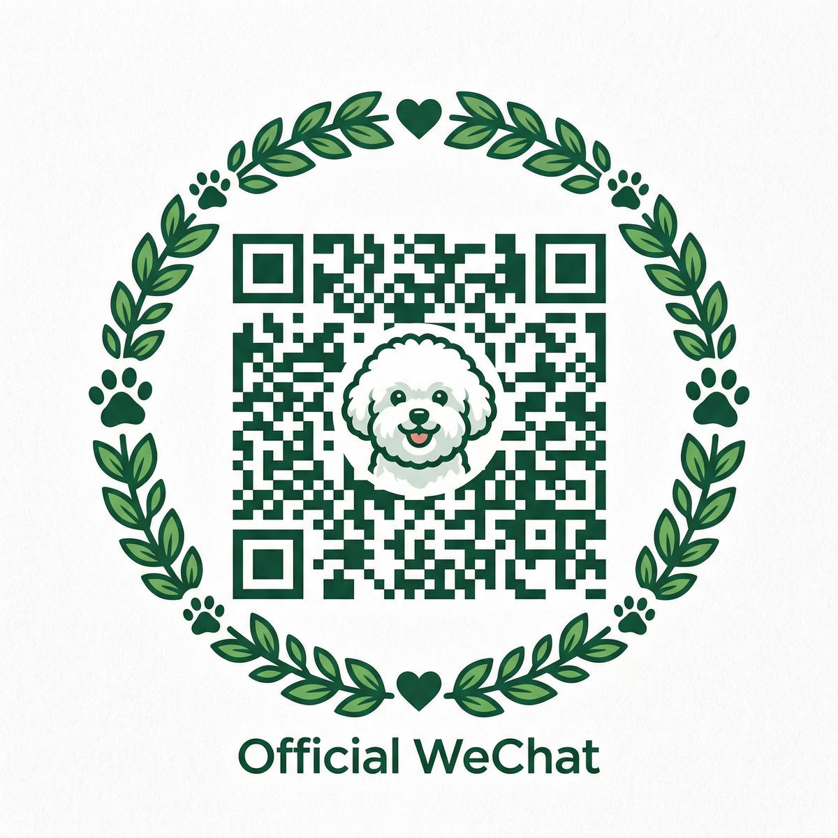 母狗公众号二维码